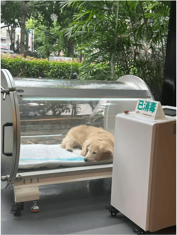寵物用高壓氧艙（單體艙）